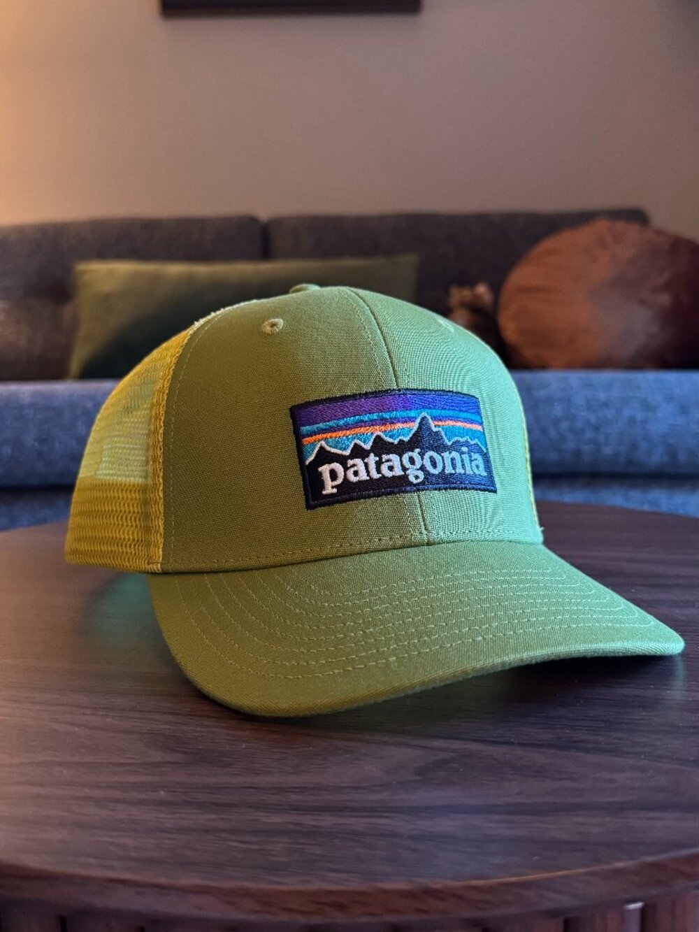 Patagonia green trucker hat